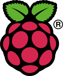 Raspi_Colour_R-207x250