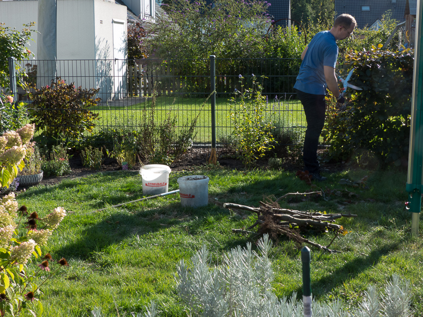 Freier Durchblick auf den Nachbargarten