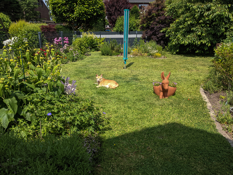 Blick auf den Garten