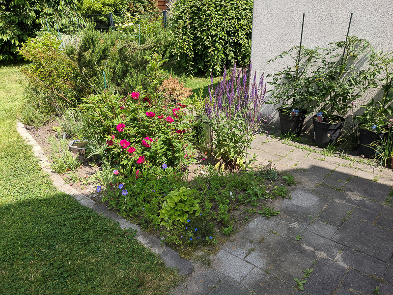 Terrassenbeet 2